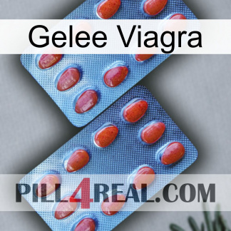 Jelly Viagra 05
